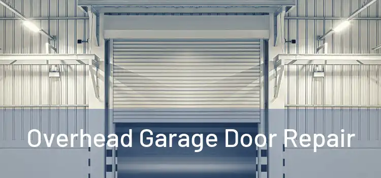  Overhead Garage Door Repair 